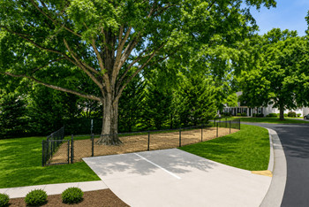 Pet park